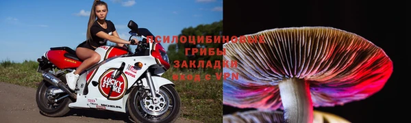 мефедрон мука Заводоуковск