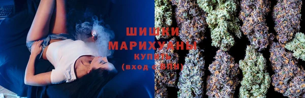 мяу мяу мука Ельня