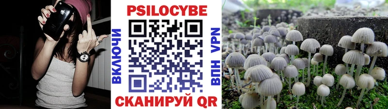 Галлюциногенные грибы Psilocybine cubensis  kraken онион  Краснообск 
